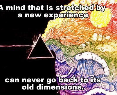 298933_395667467188759_1774447839_n