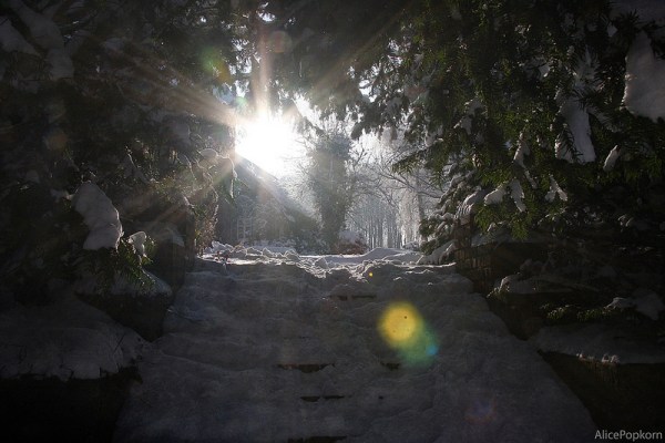 Alice Popkorn-CC by2.0