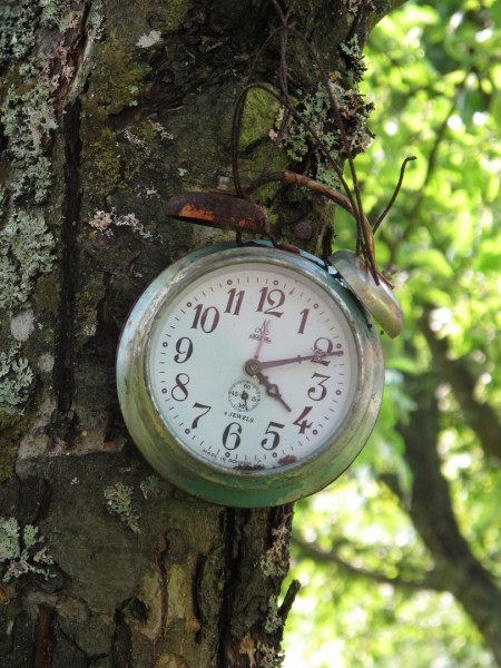 lawrence Jesterson- CC by SA 2.0