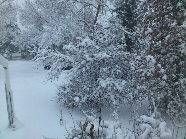 154331_10151067090676324_1458203458_n