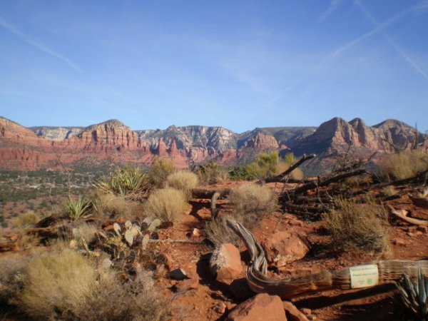 The magical land of Sedona!